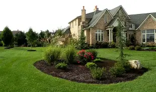 Outdoor image 3